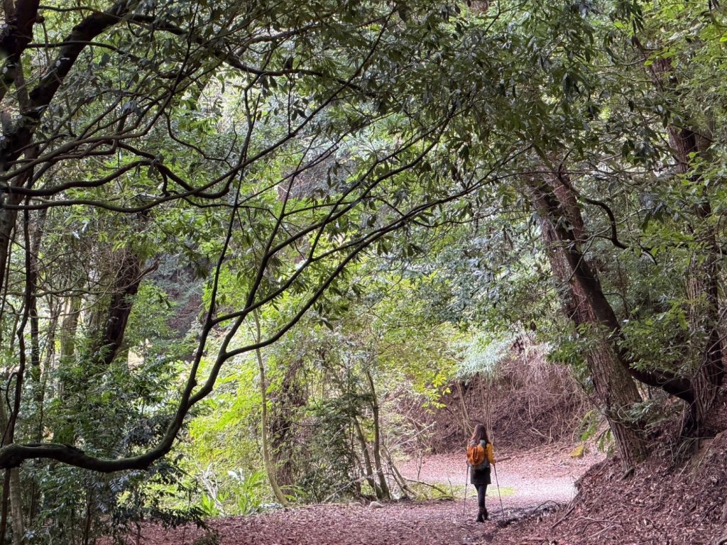 雪霸國家公園 雪見遊憩區 東洗水山_2928546
