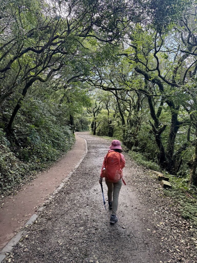 二子坪步道 經遊憩區 上面天山 20251108_2935036