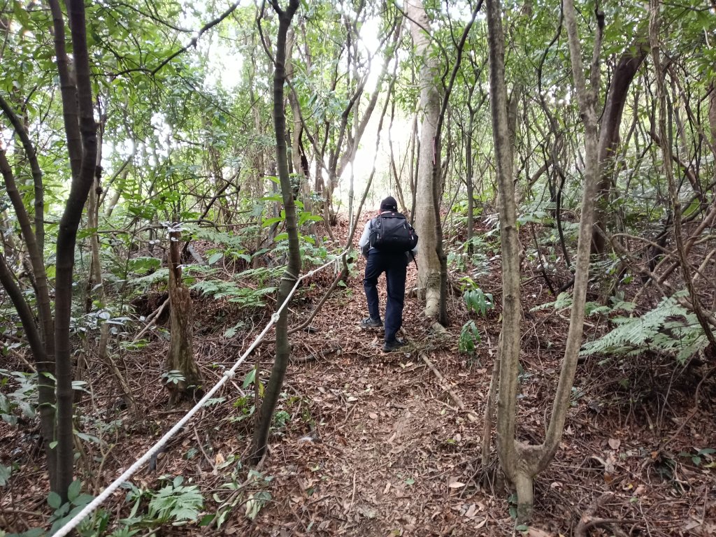 基隆市三層山+湳子大崙+淡基橫斷古道+面桶寮土地公_2982219