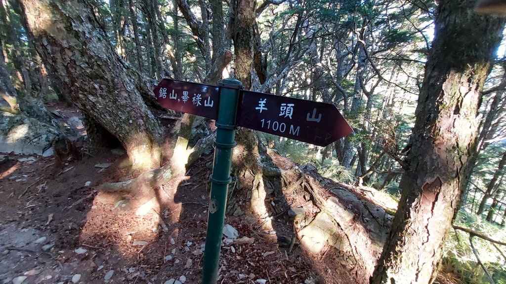 111/07/24畢羊縱走 DAY2(鋸東山屋-羊頭山-慈恩隧道)_1777574