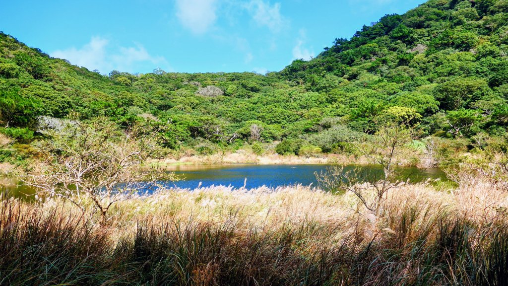 向天蝦不蝦_2936811