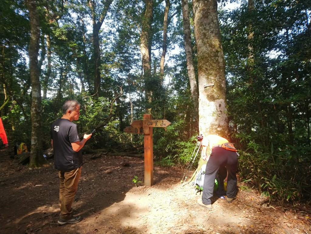 虎山 由易到難 漸進式 健身步道_855779