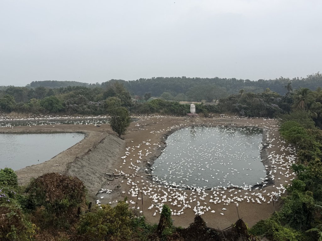 [山海圳_大圳之路_第一段] 2026_0228 茄拔天后宮_南湖口_曾文溪渡槽橋_3009201
