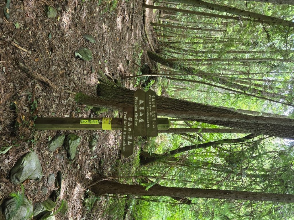 志佳陽大山（回程走高繞環山獵人登山步道）_2542134