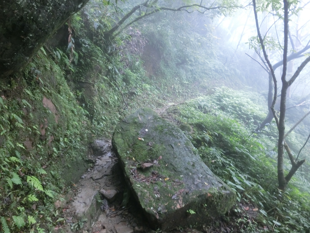 二格山（草湳Ｏ型）_93190