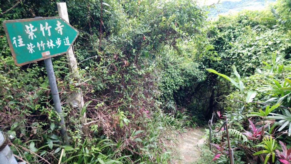 南勢角山（烘爐地土地公廟）_392965