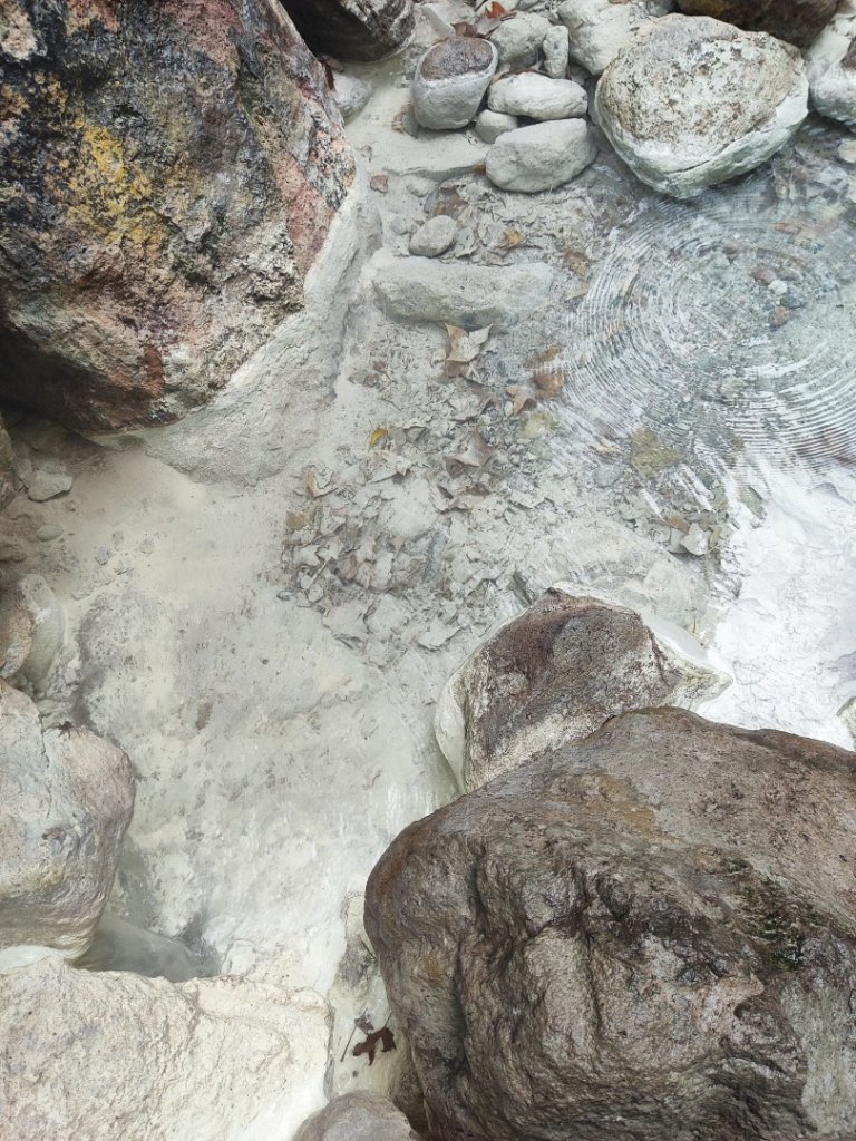 2026年元旦升旗快閃七星順探紫明溪_2974000