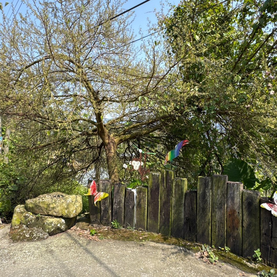 20250308古坑後棟山涼亭、挑筍古道_2730489