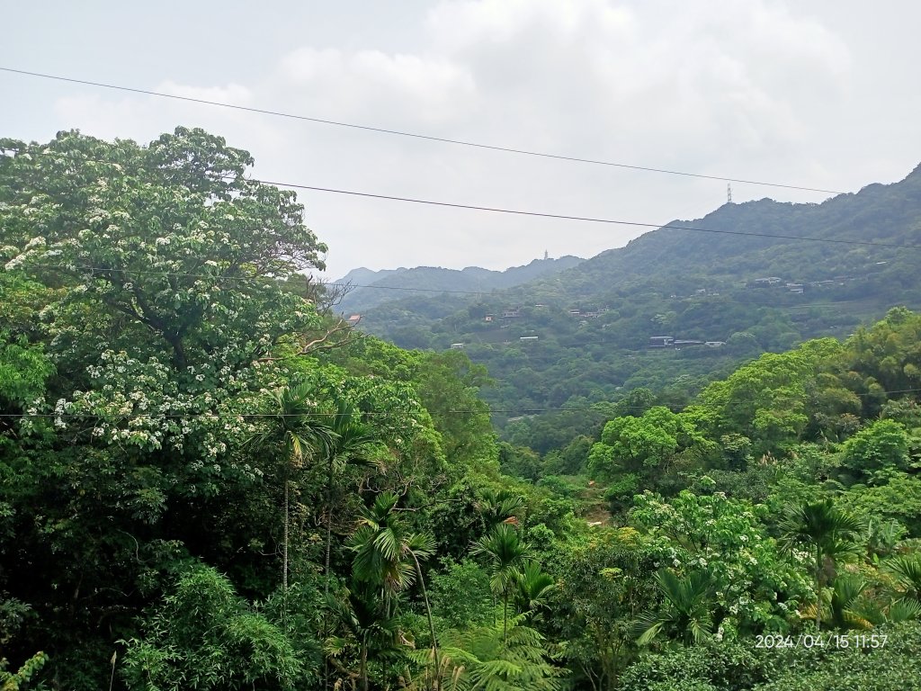 【臺北大縱走7 第二回合】樟山寺→樟樹步道→指南宮貓空親山步道→壺穴步道→茶展中心步道→指南宮→政大_2479206