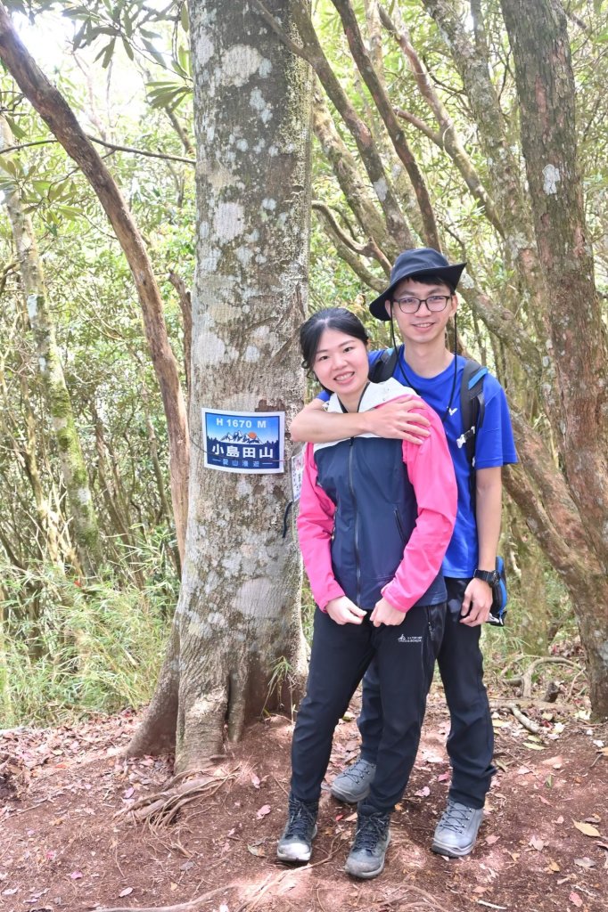 中級山-高島縱走_2888373