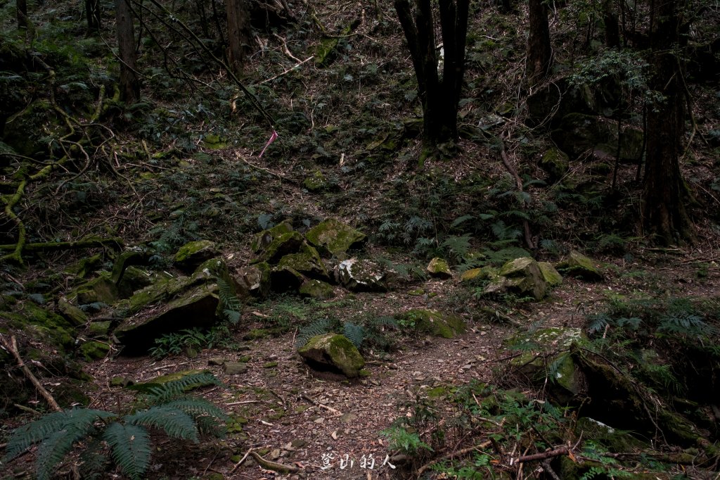 霞山鐵道野營_2843135