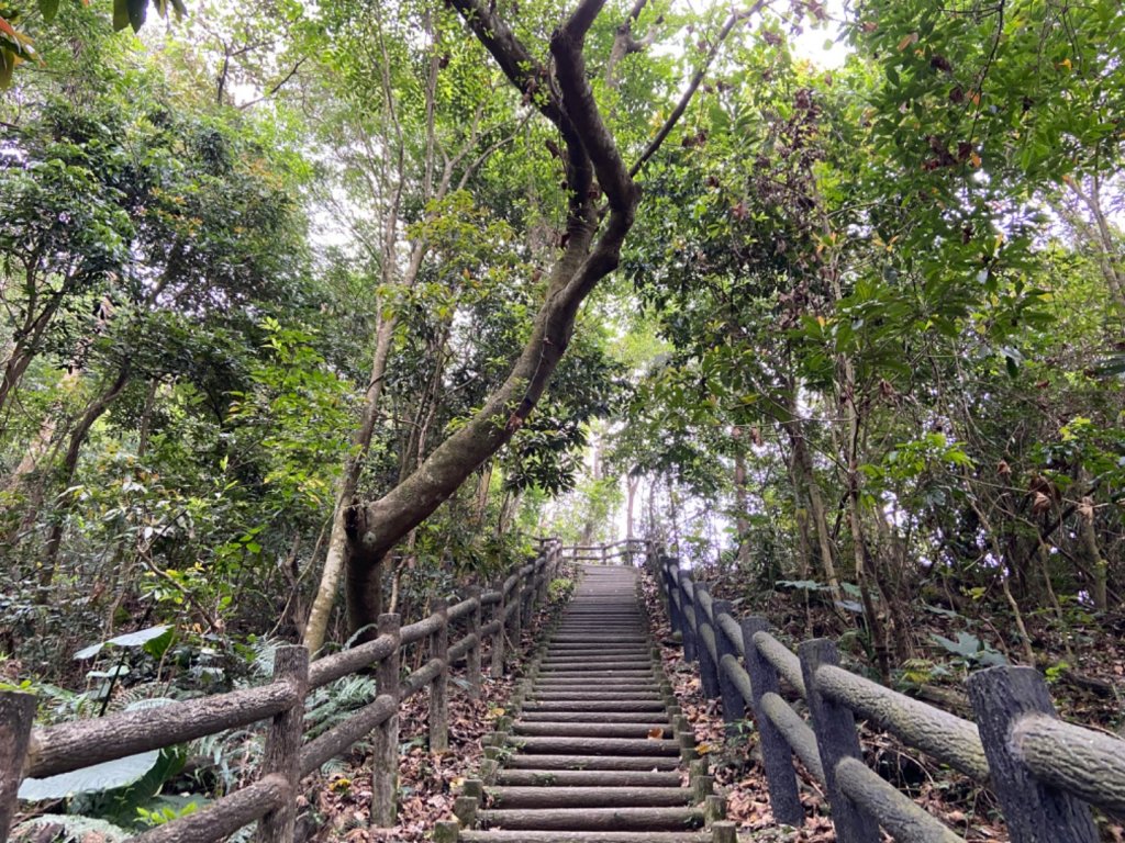 大坑2號原路來回_2130437