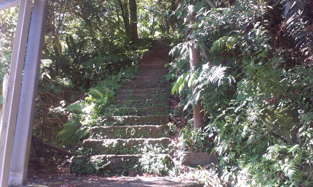 五寮尖20140721_1960006