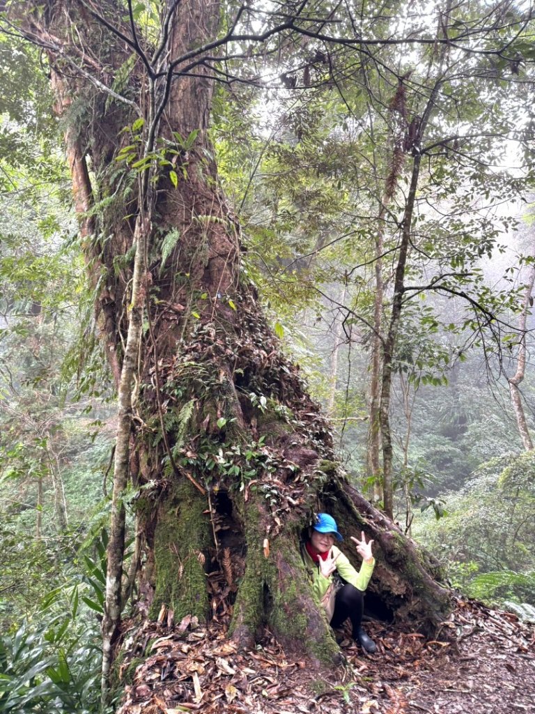 小百岳馬那邦山(H1407m)加碼採草莓_2694699
