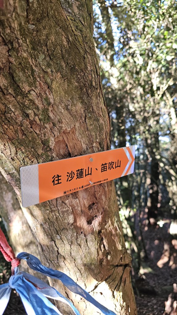 【細說大雪山木馬古道】橫嶺山、沙蓮山、笛吹山O繞_2921081