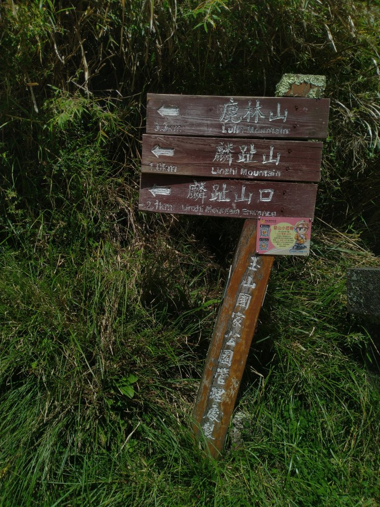 2022-07-21 塔塔加一日遊(麟趾山、鹿林山)_1771438
