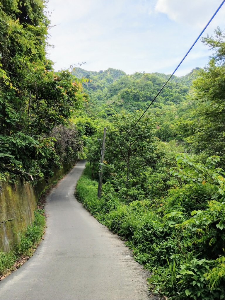 頭嵙山(小百岳#41)大坑4,5,1步道_1003665