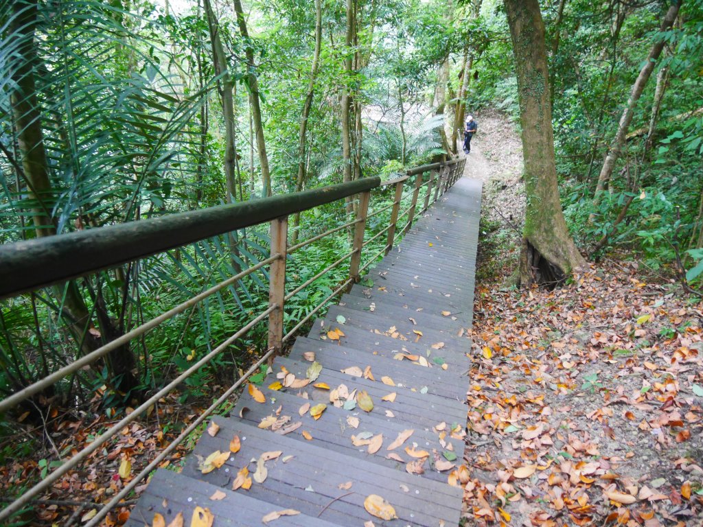 五指山橫向步道_1029472