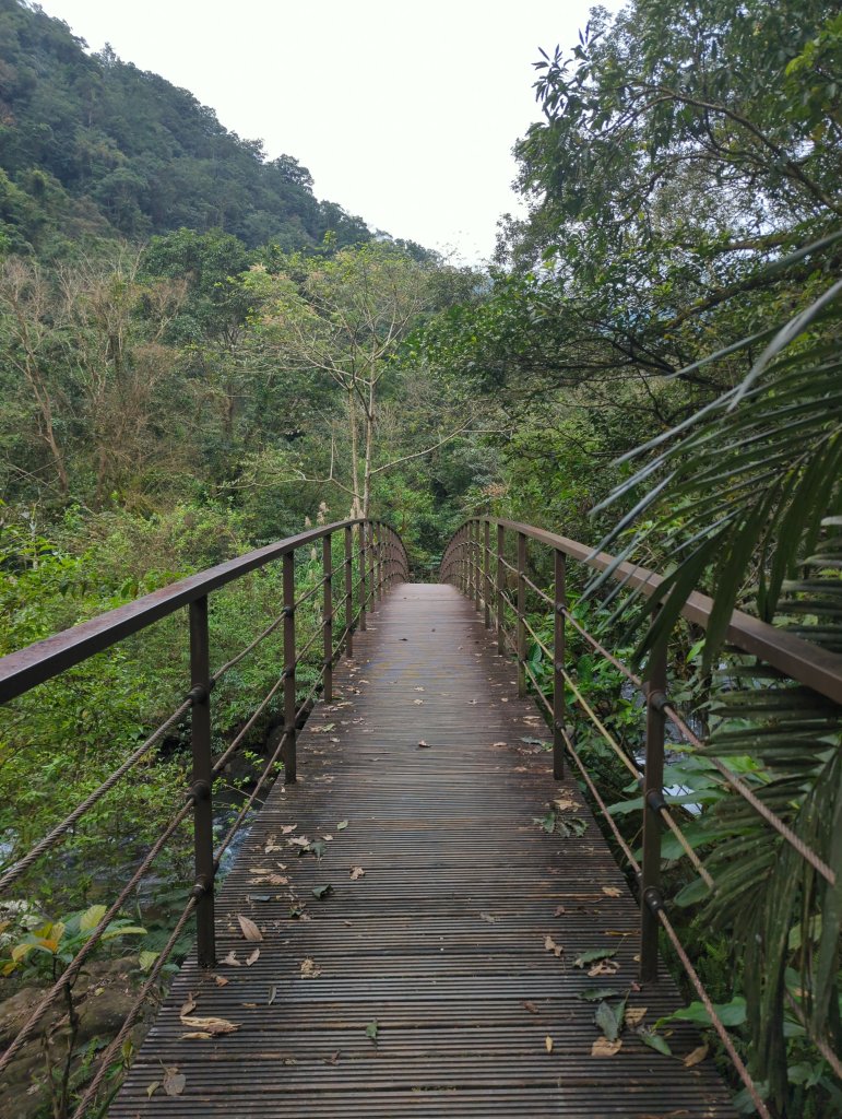 2025.01.10－松羅國家步道_2981174