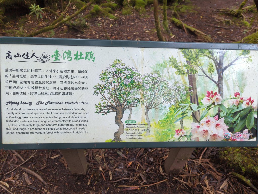 20424.06.22－翠峰湖步道_2532276