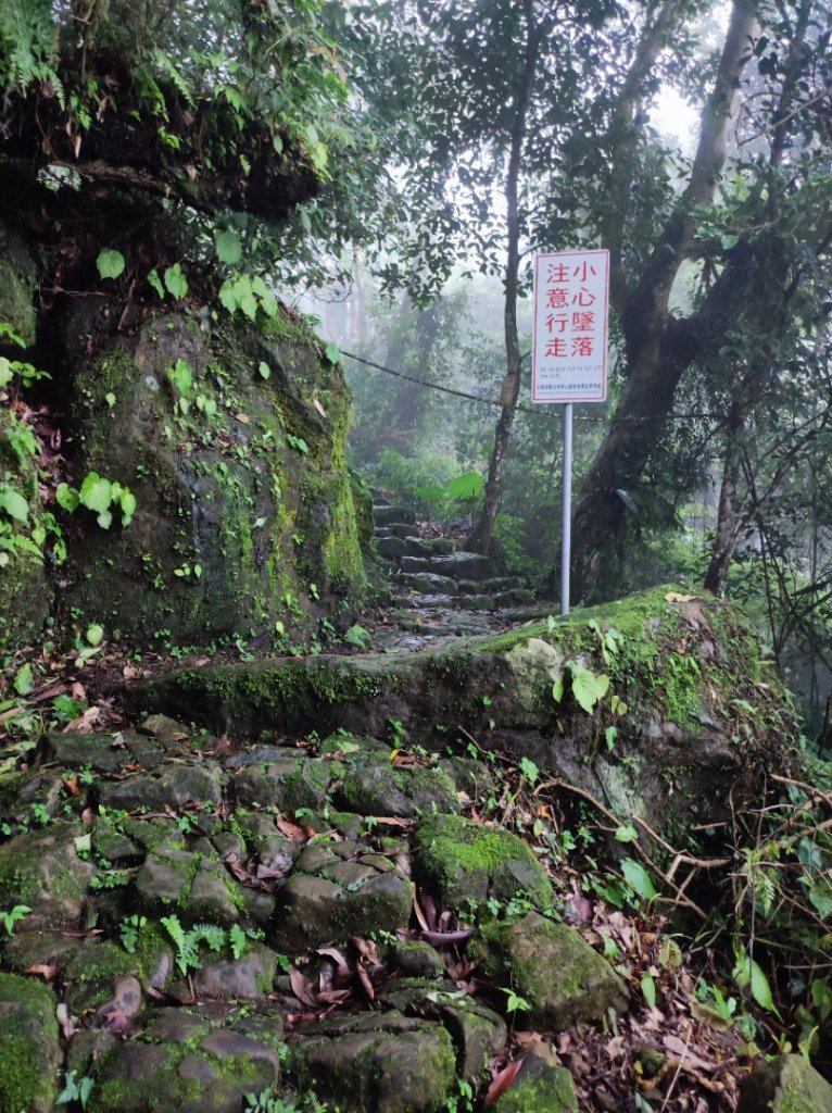 五指山橫向步道_2186002