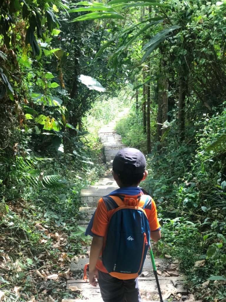 樟腦寮車站上獨立山奉天岩泡茶煮泡麵大巃頂看群峰美景_470035