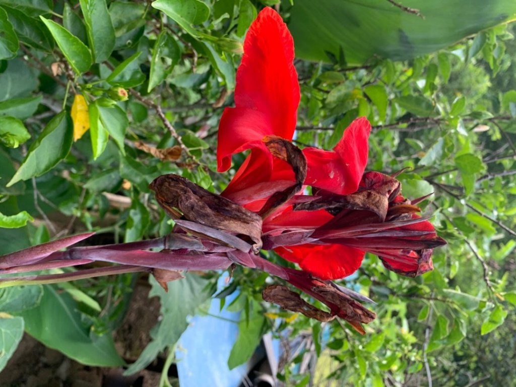 台中市太平區三汀山（小百岳）_1028908