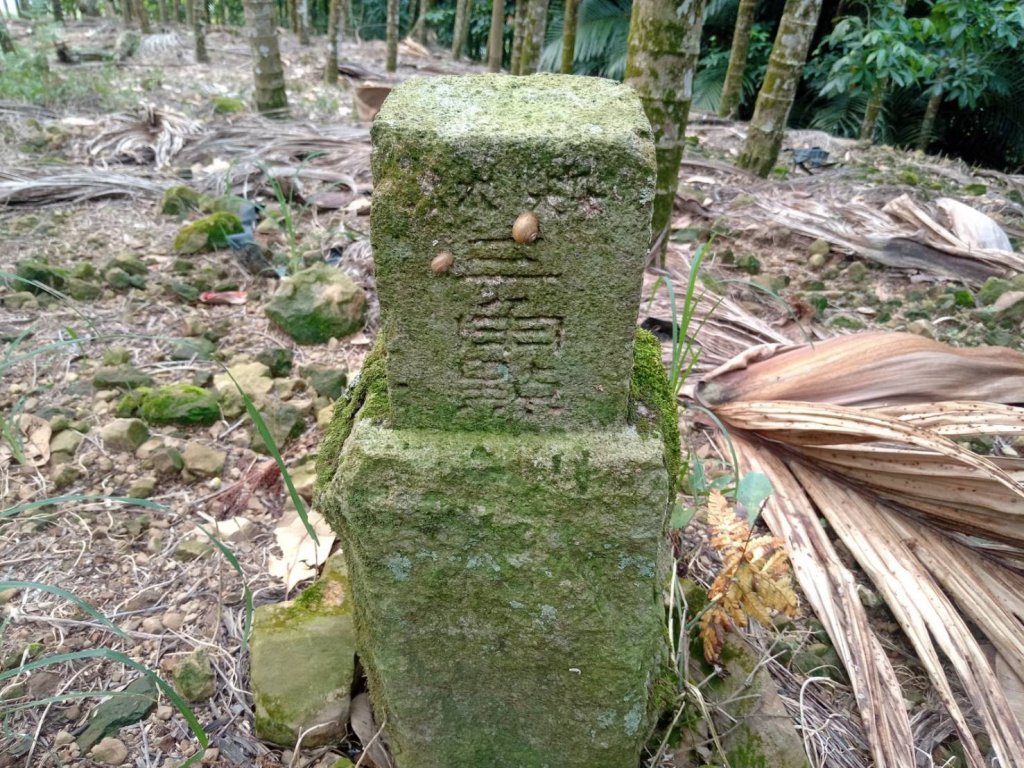 20210828南投國姓樟湖山、龜子頭山南峰、柑子林山、公司頂山、昌榮巷山基石封面圖