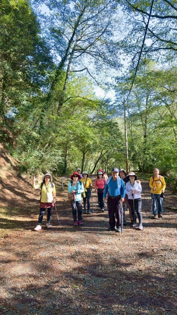 觀霧-榛山步道_2926027