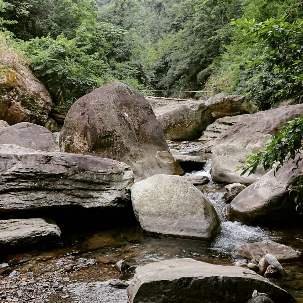 加里山20200705_1026594