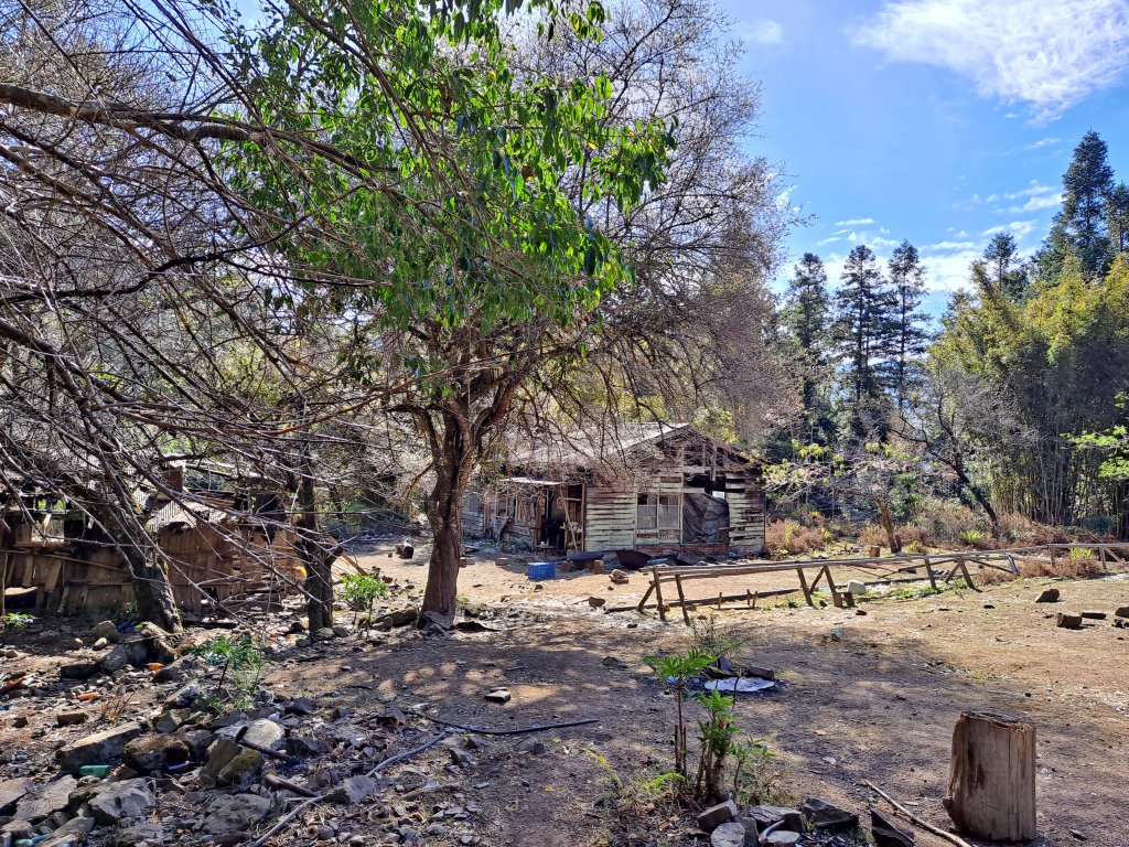 一日白雪村_2039733