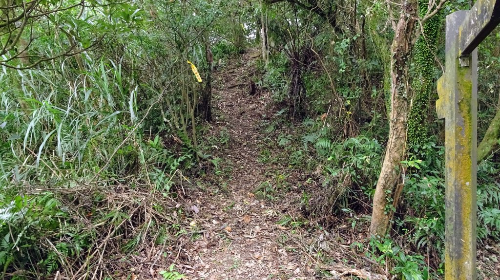 槓尾山,四分尾山,和尚頭山,大尖山_2244964