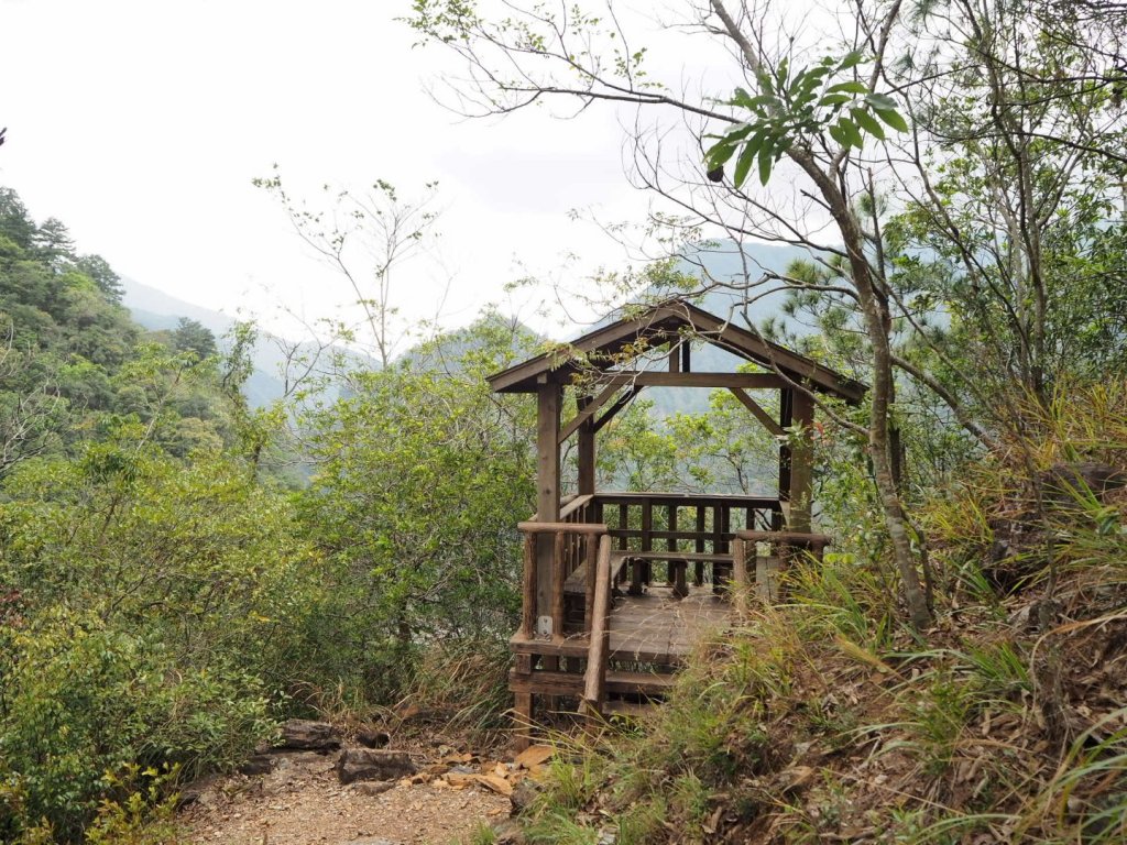 南投惠蓀林場杜鵑嶺松風山步道200404_903374