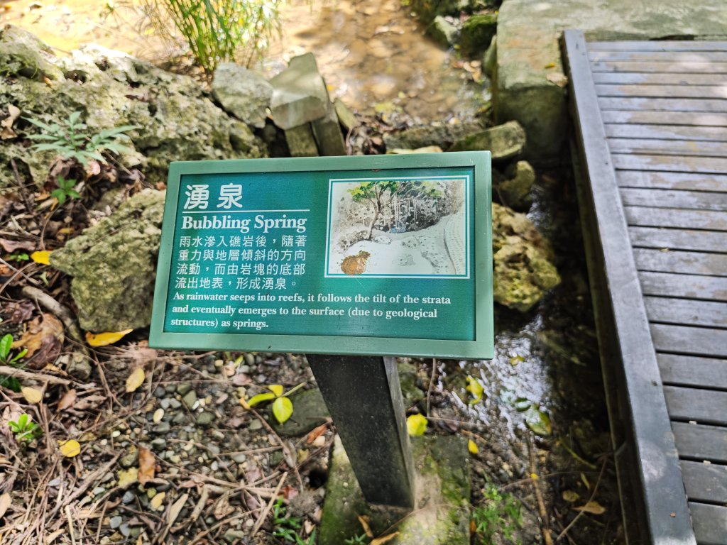 [百山百鳥尋旅-02/15] 2025_0809 社頂自然公園步道_2857187