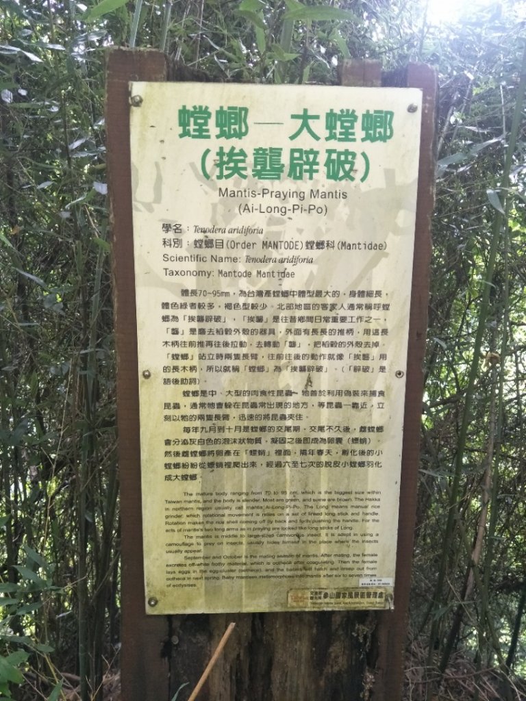 獅山古道_1777664