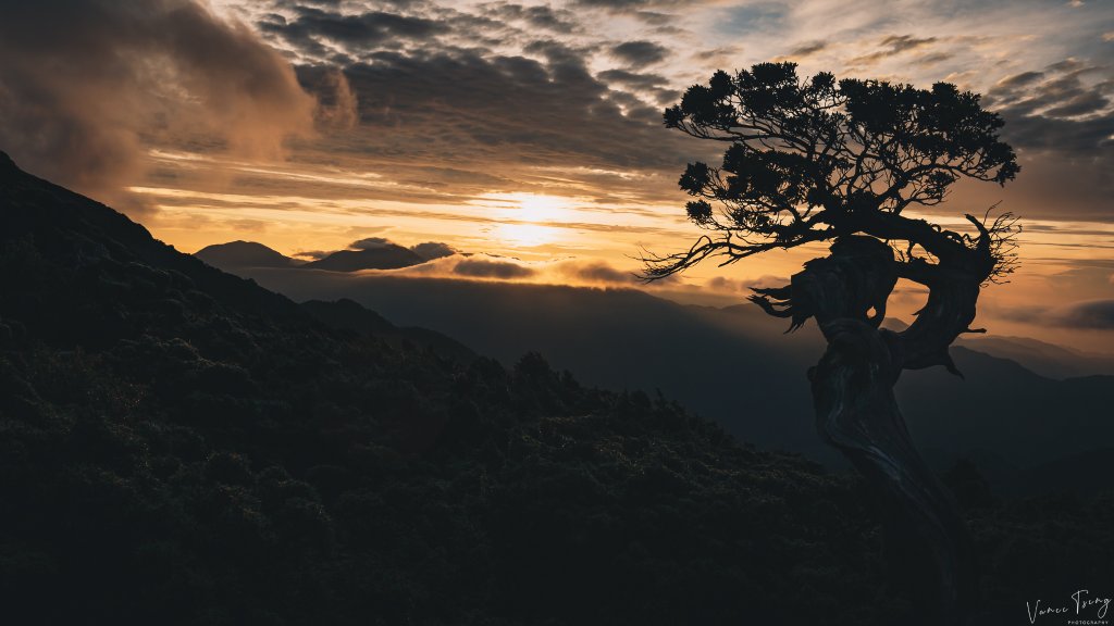 【玉山南峰】享受一個人的獨行_1071161