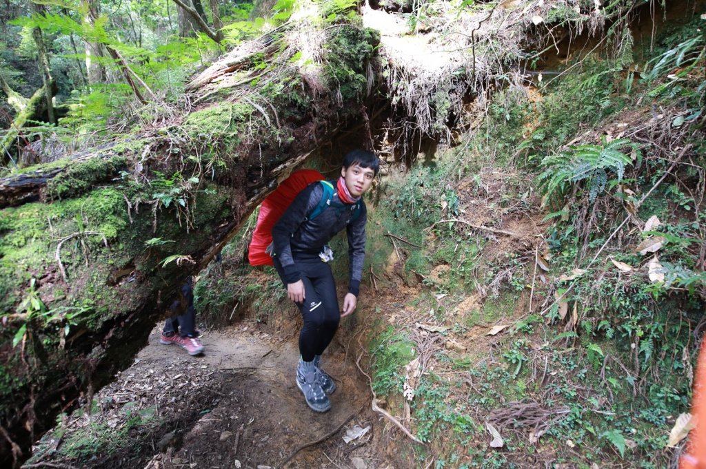 水樣森林 第一次在山裡過夜_658868