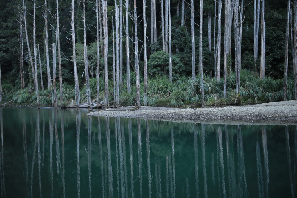 鹿屈山：水漾森林_73501