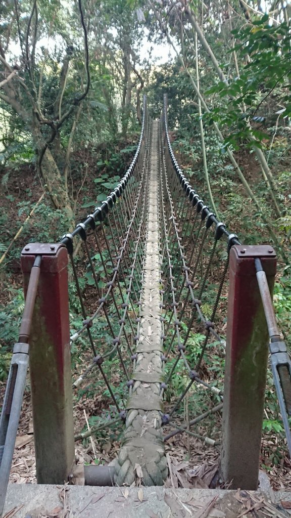步道巡訪員 l 桃源里森林步道3月巡訪_880261