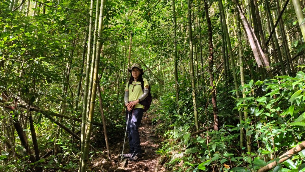 大混李棟山_2816325