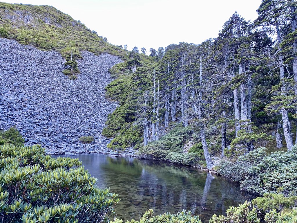 雪山西稜逆走（5天變6天）D6    2021/9/28_1479919