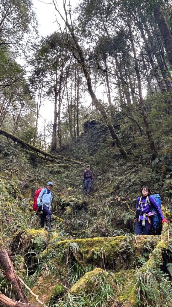 大同舊太平山神社給給池日向台_2748228
