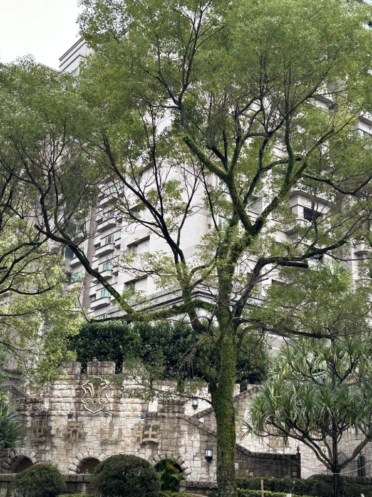 20240303 [台北大縱走6]_2444418