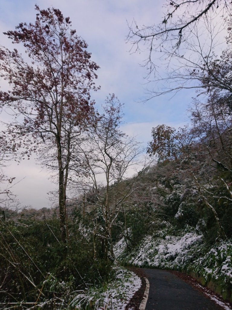 冰雪奇緣歷險記～加羅湖（未盡）_1237630