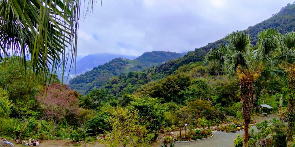 【新竹內灣】馬胎古道_1619728