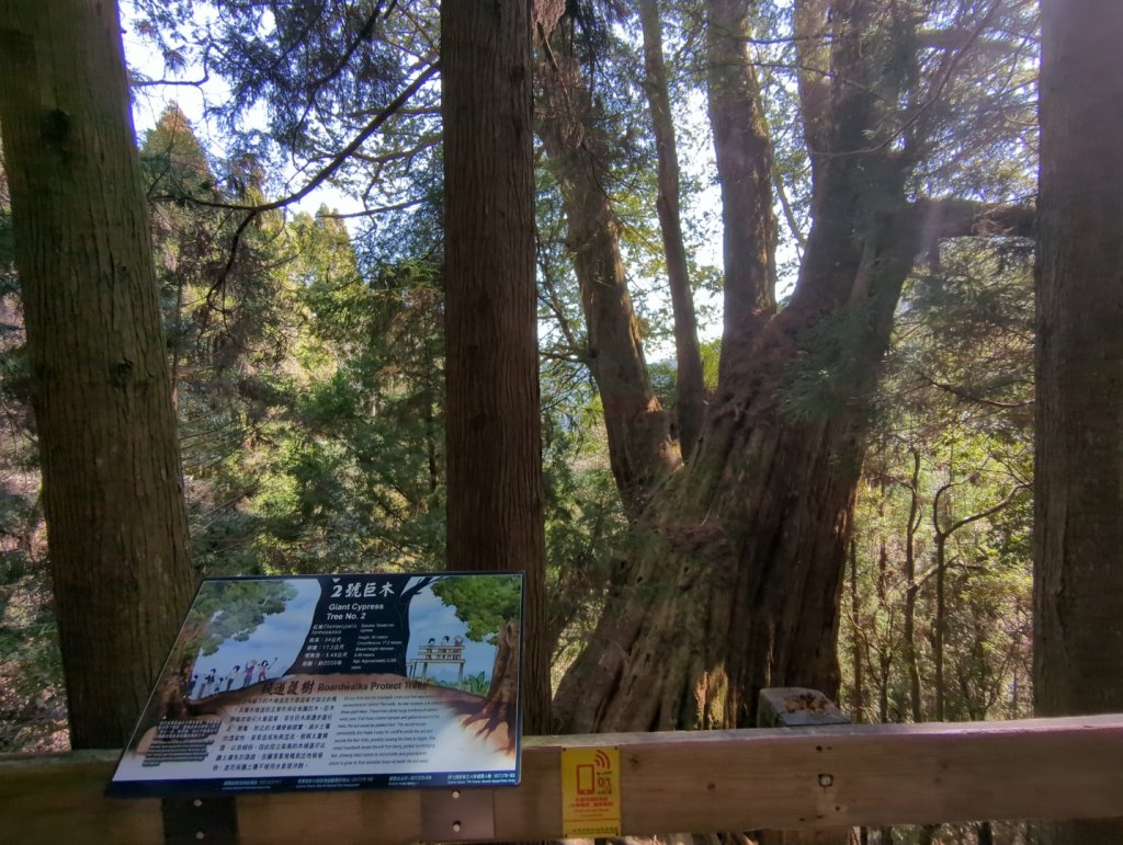 2023.02.25－檜山巨木森林步道_2042035