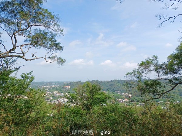 【苗栗造橋】適合親子悠閒踏青。劍潭古道_2533451