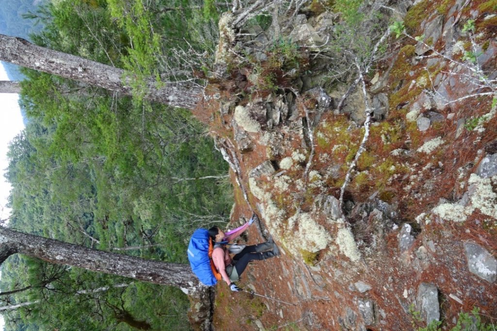 北二段之無明山甘藷峰_1851124