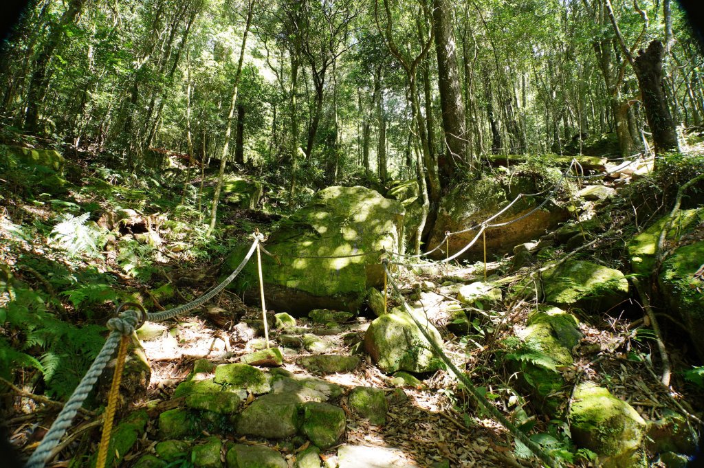 台中 和平 鳶嘴山_2926909