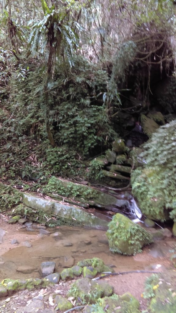 【臺北大縱走7】飛龍步道、樟山寺、銀河洞_878227